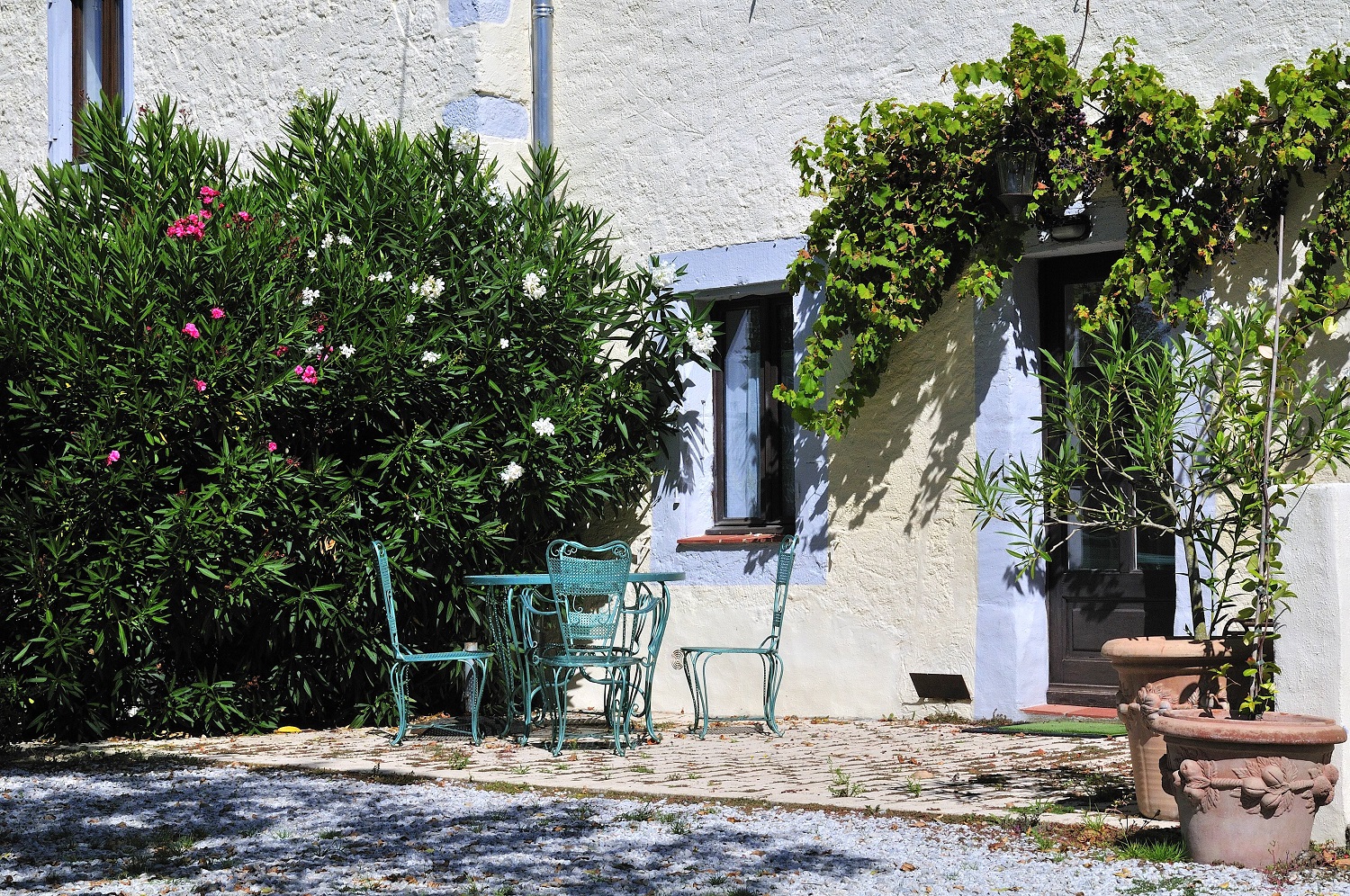 French property for sale in Montréal, Aude - €1,100,000 - photo 