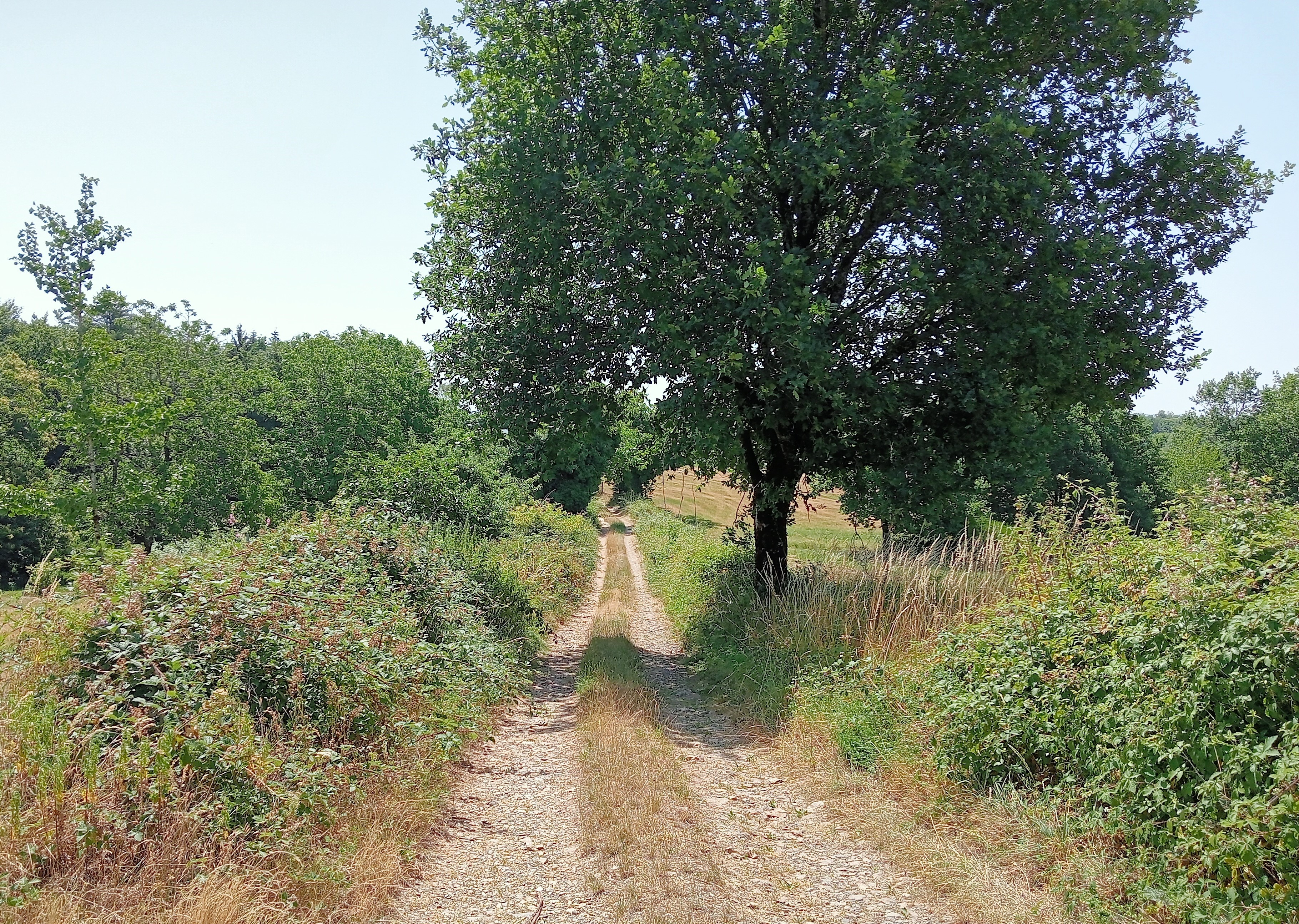 French property for sale in Argentat-sur-Dordogne, Corrèze - €574,000 - photo 