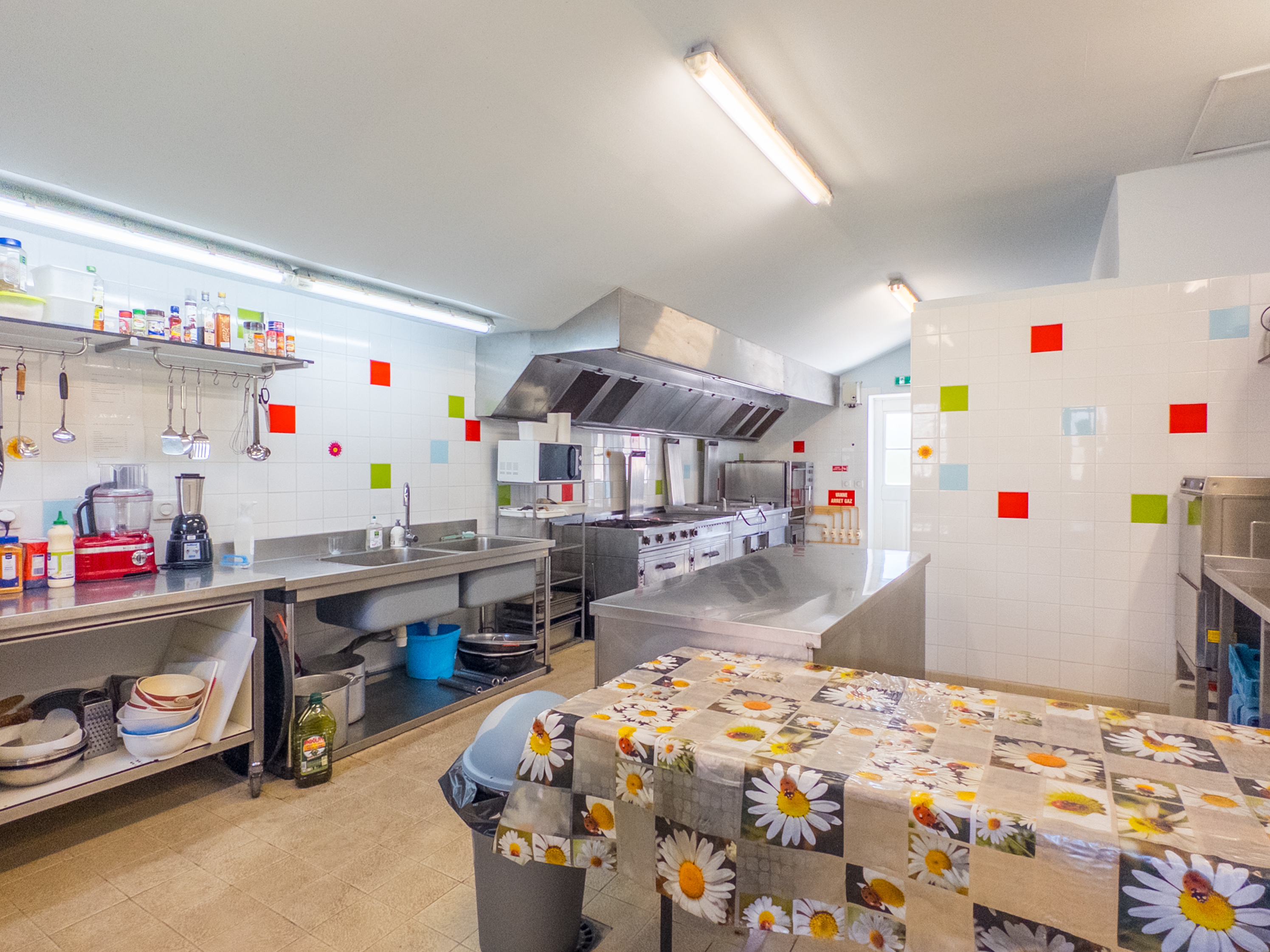 Propriété en France à vendre à Coulonges, Vienne - €894 999 - photo 