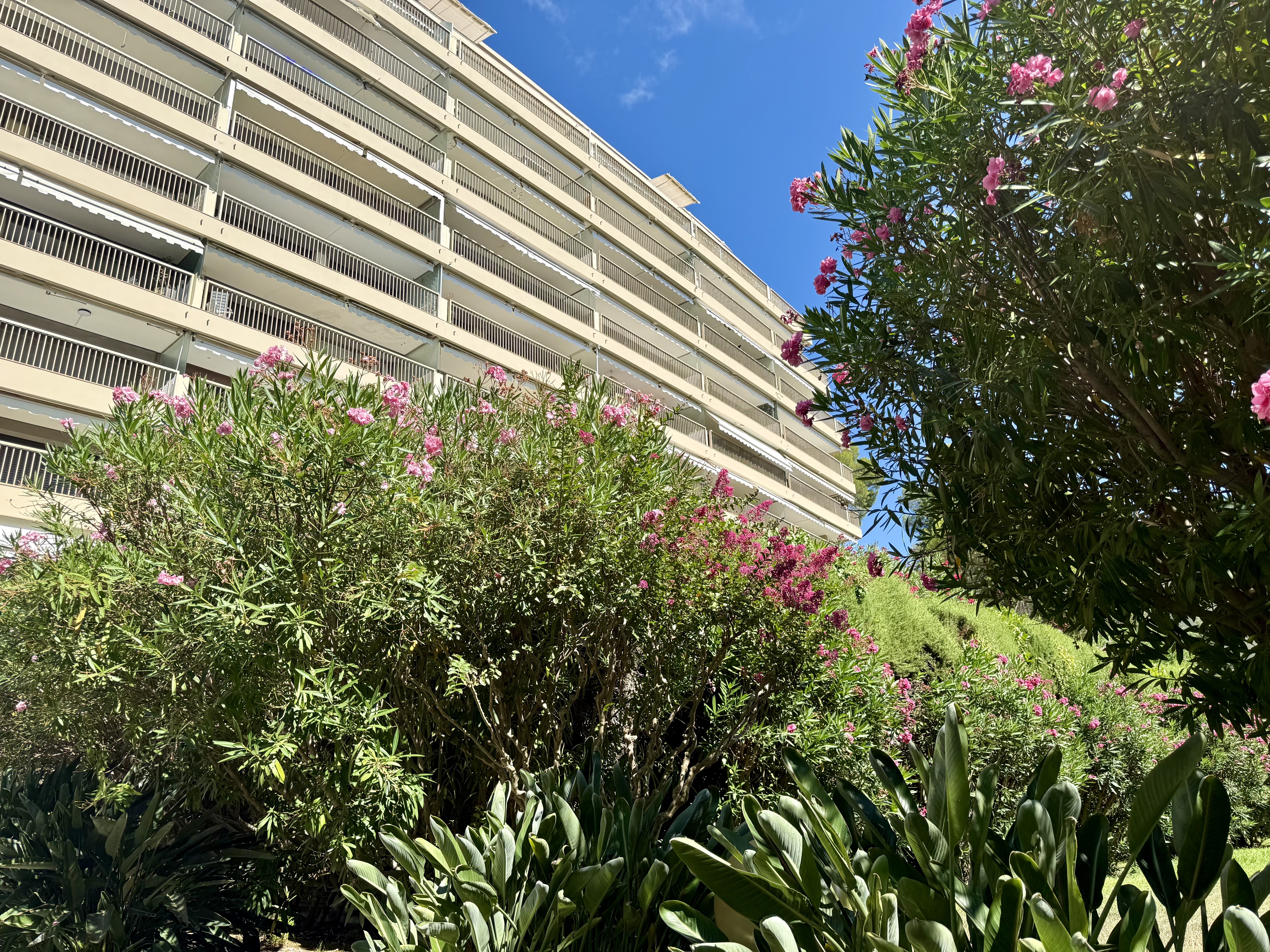 Propriété en France à vendre à Cannes, Alpes-Maritimes - €1 095 000 - photo 