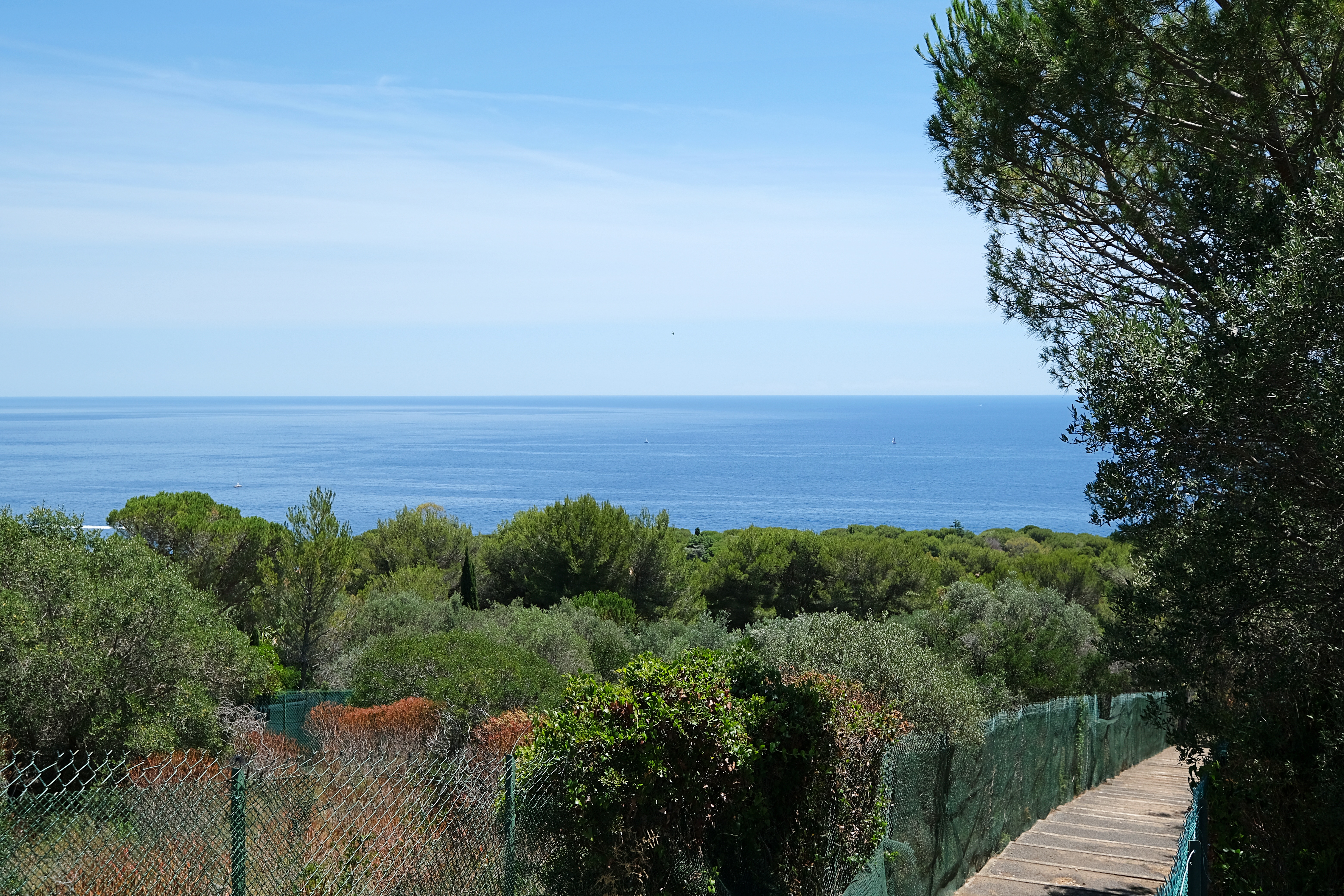 French property for sale in Saint-Jean-Cap-Ferrat, Alpes-Maritimes - €12,600,000 - photo 