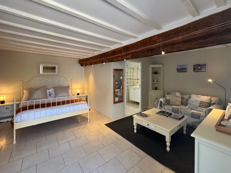 French property for sale in Varennes-sur-Loire, Maine-et-Loire - €750,000 - photo 