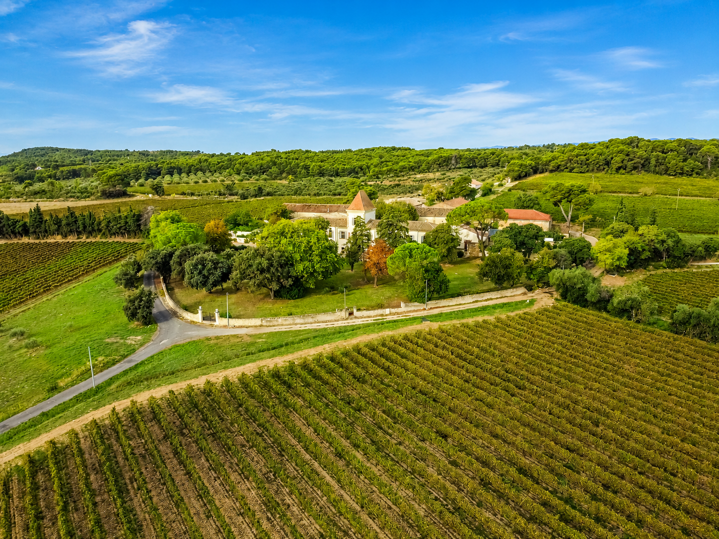 French property for sale in Puisserguier, Hérault - €950,000 - photo 