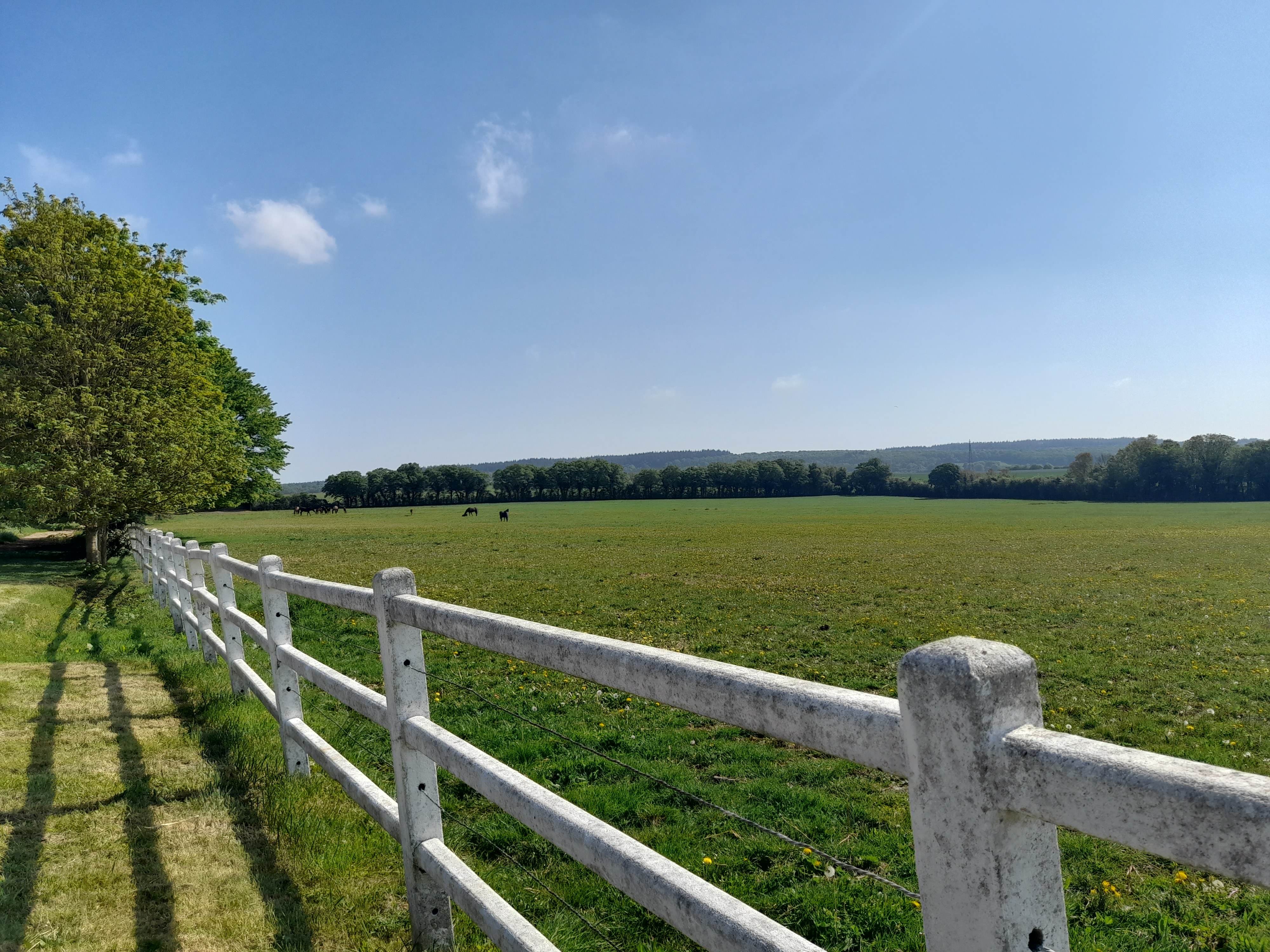 French property for sale in Sévigny, Orne - €3,000,000 - photo 