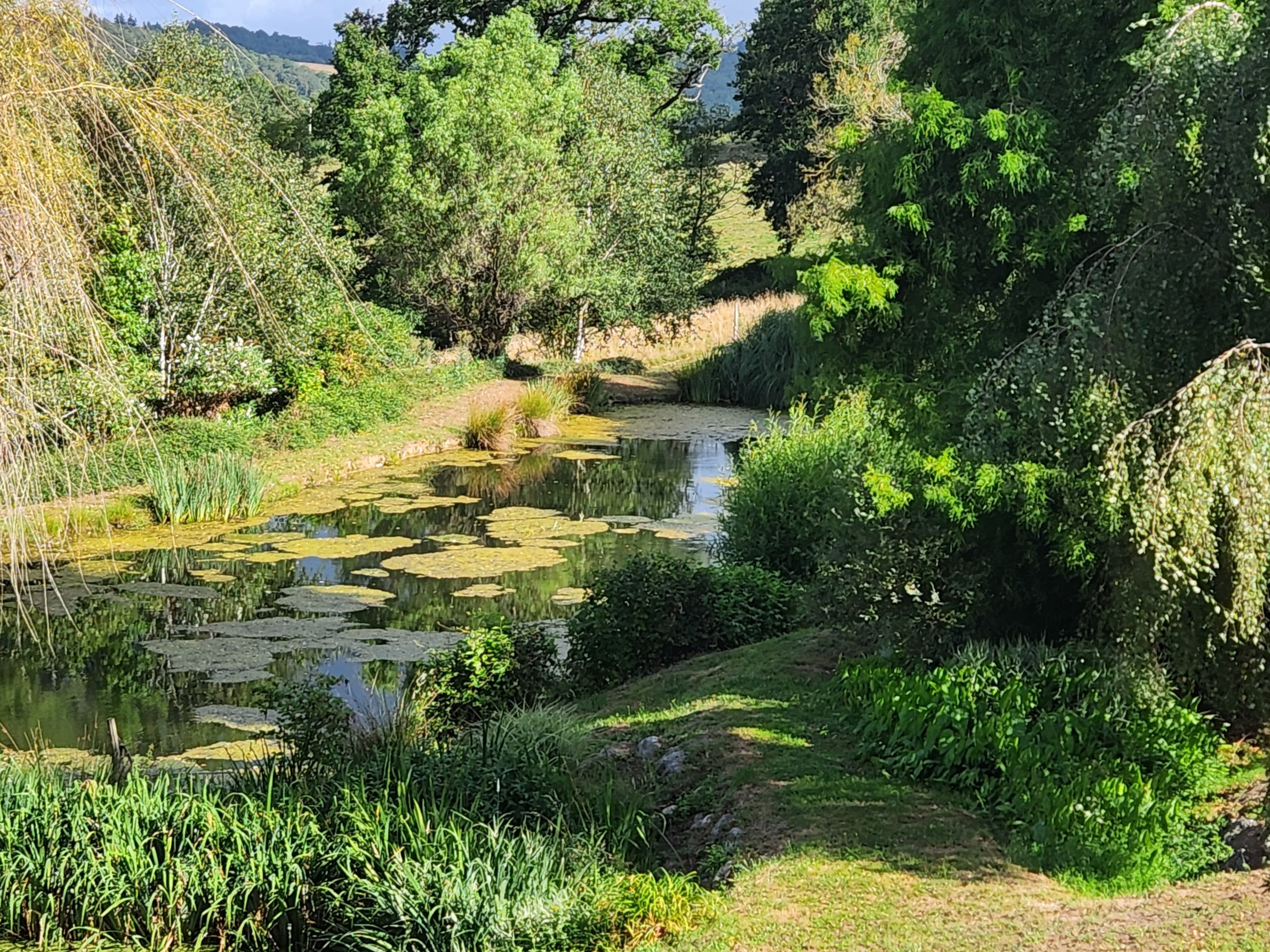 French property for sale in Lescure-Jaoul, Aveyron - €889,473 - photo 