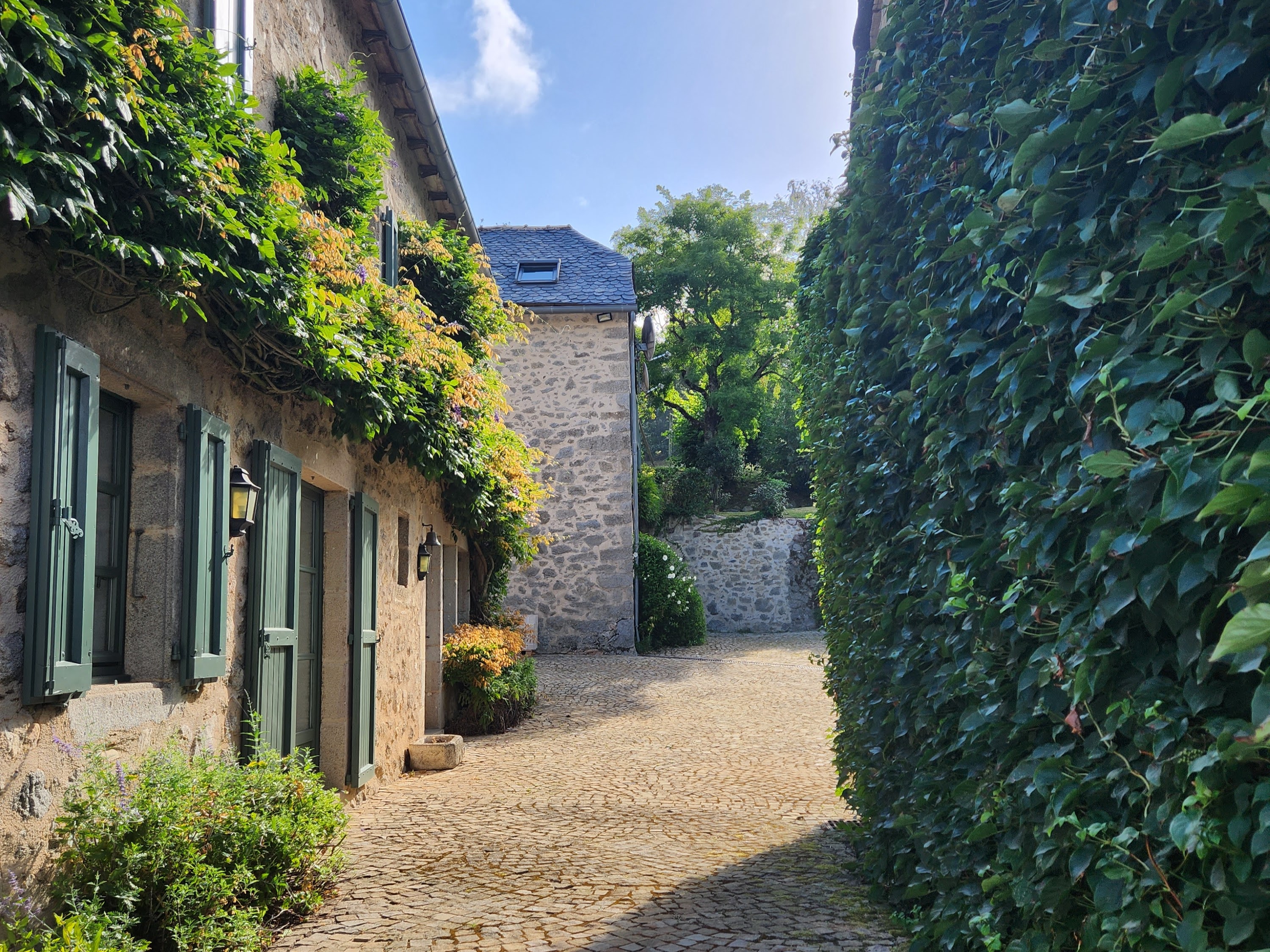 French property for sale in Lescure-Jaoul, Aveyron - €889,473 - photo 