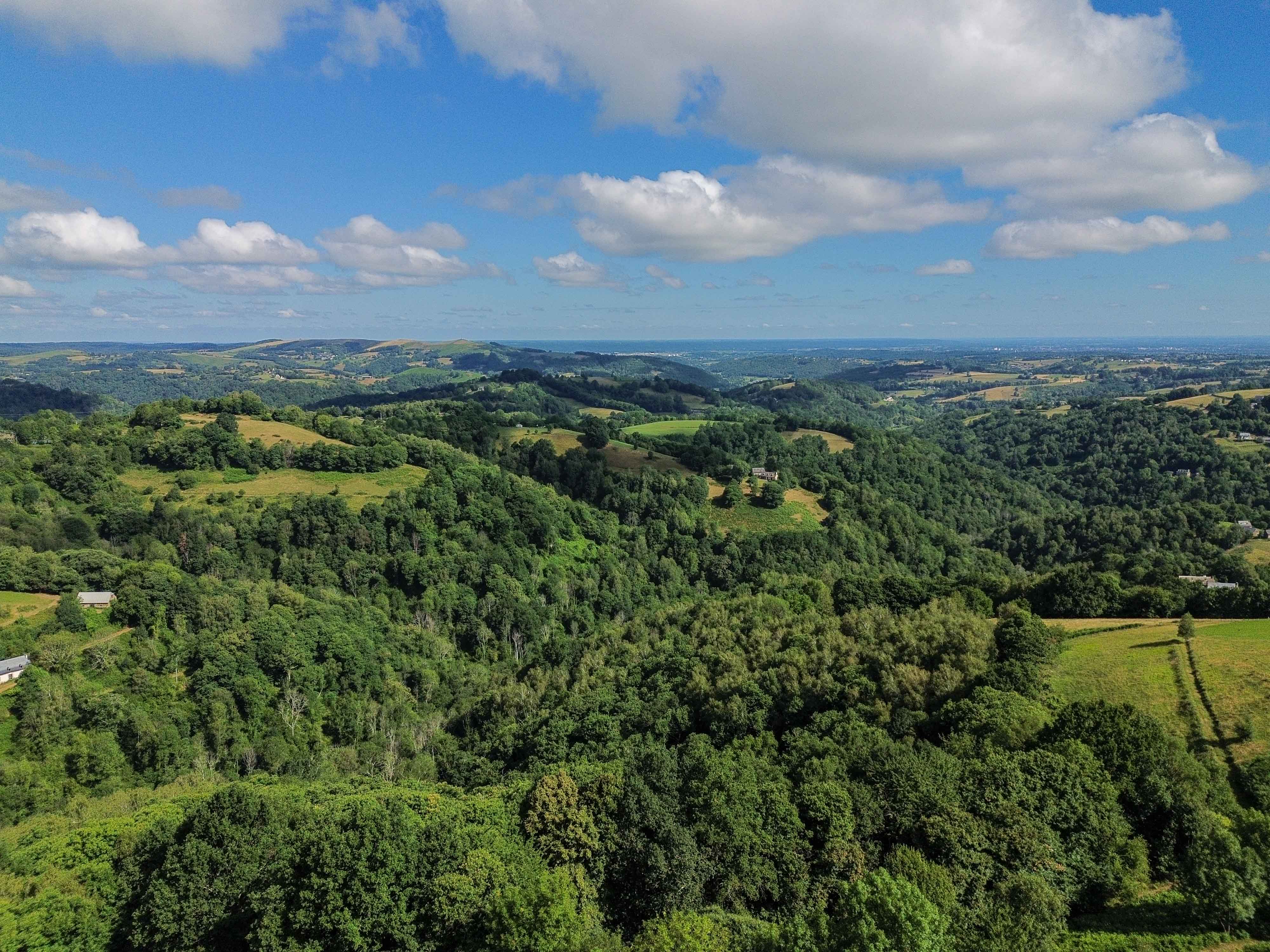 French property for sale in Ossun-ez-Angles, Hautes-Pyrénées - €780,000 - photo 
