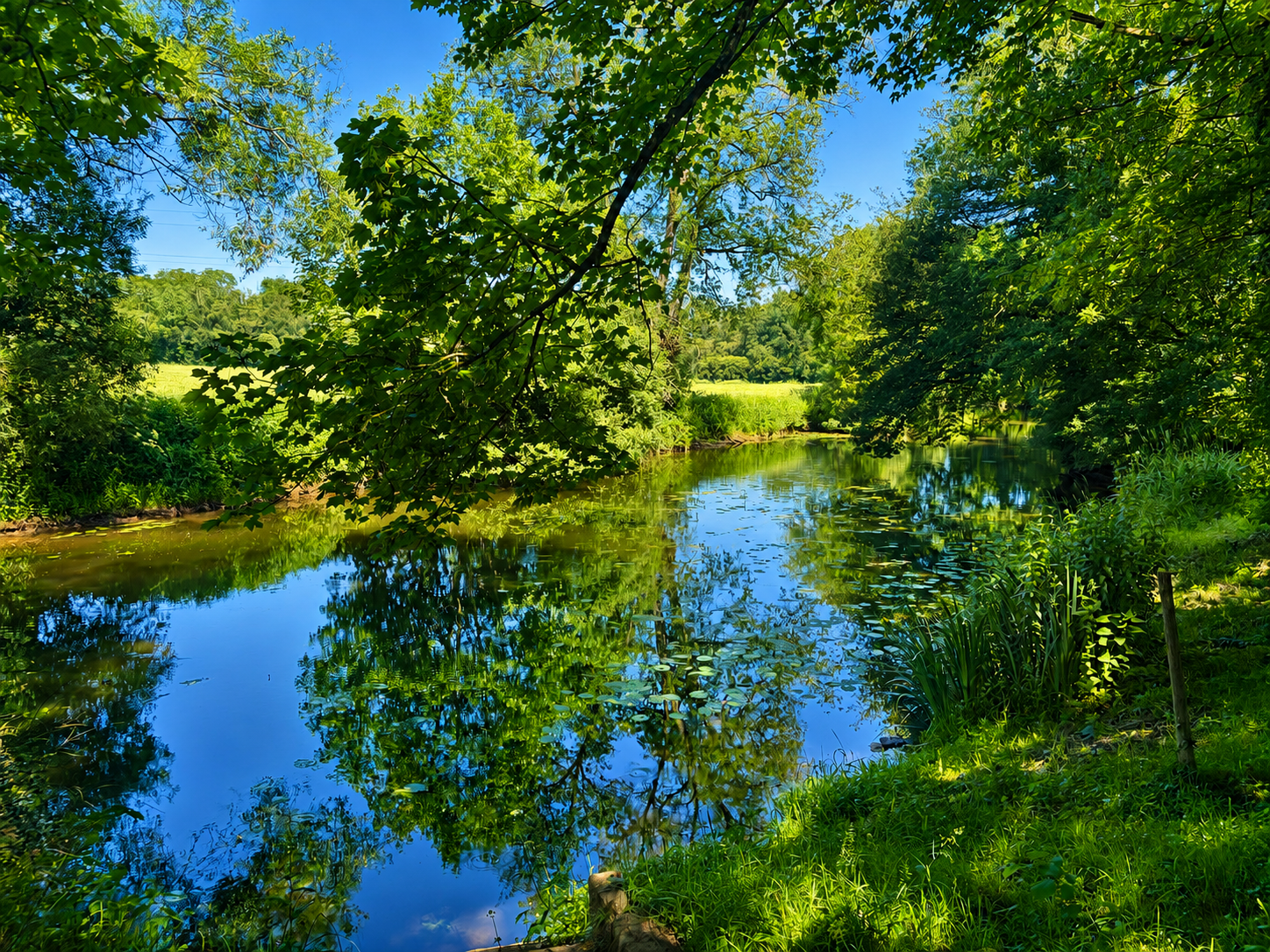 French property for sale in Ploërmel, Morbihan - €685,000 - photo 