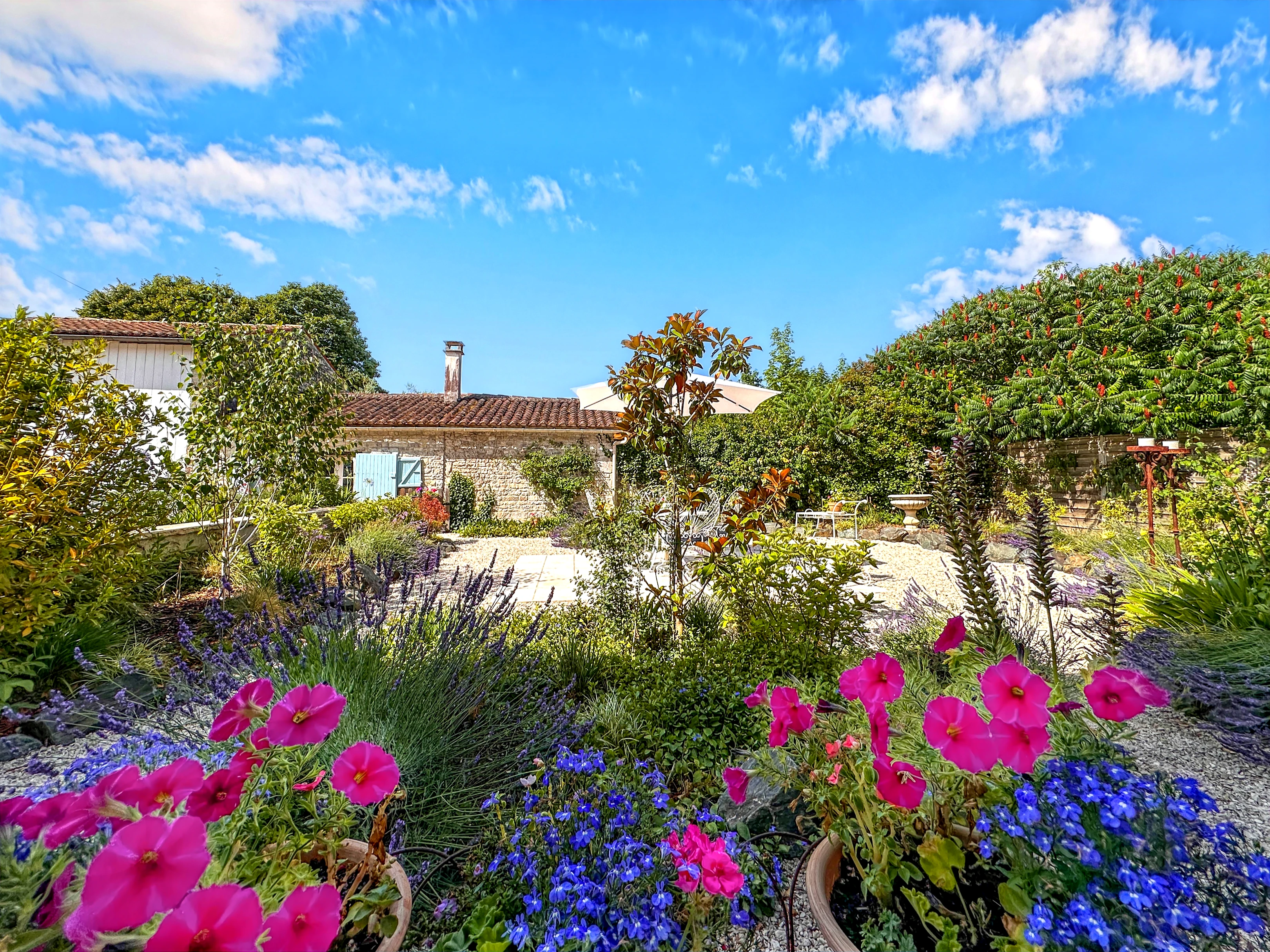 Propriété en France à vendre à Sonnac, Charente-Maritime - €599 000 - photo 