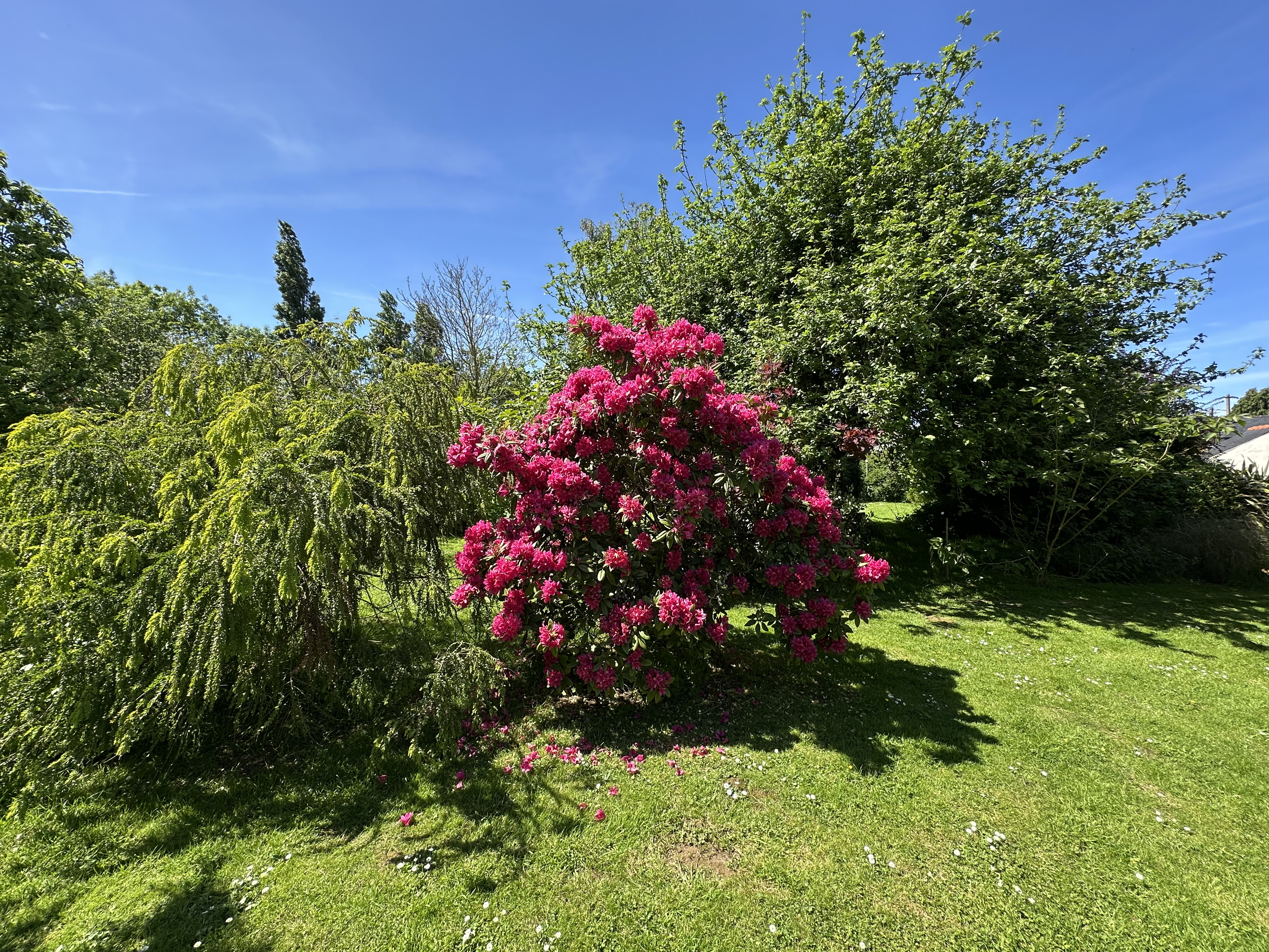 Propriété en France à vendre à Plestin-les-Grèves, Côtes-d'Armor - €760 000 - photo 