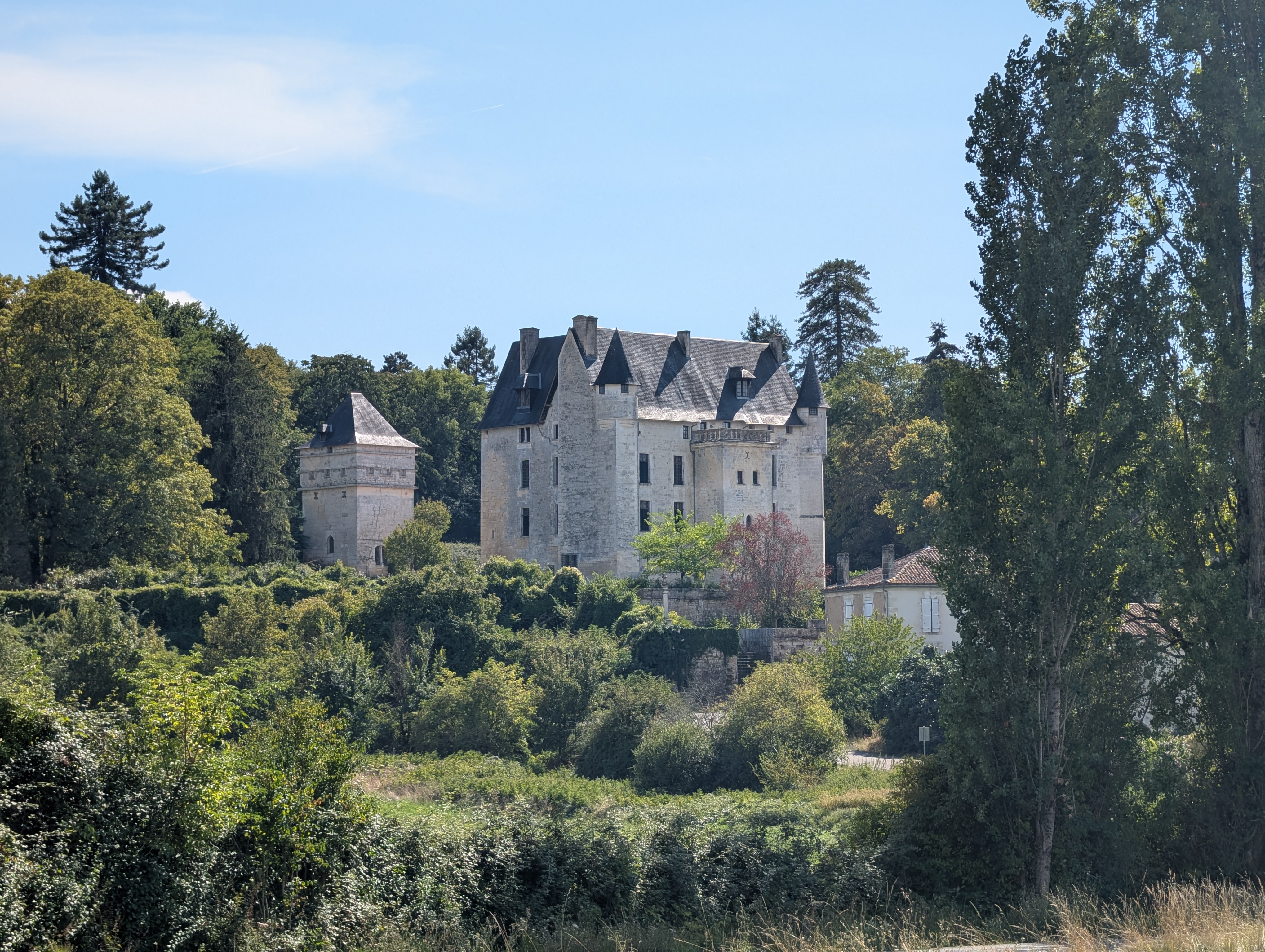 French property for sale in Vouzan, Charente - €2,750,000 - photo 