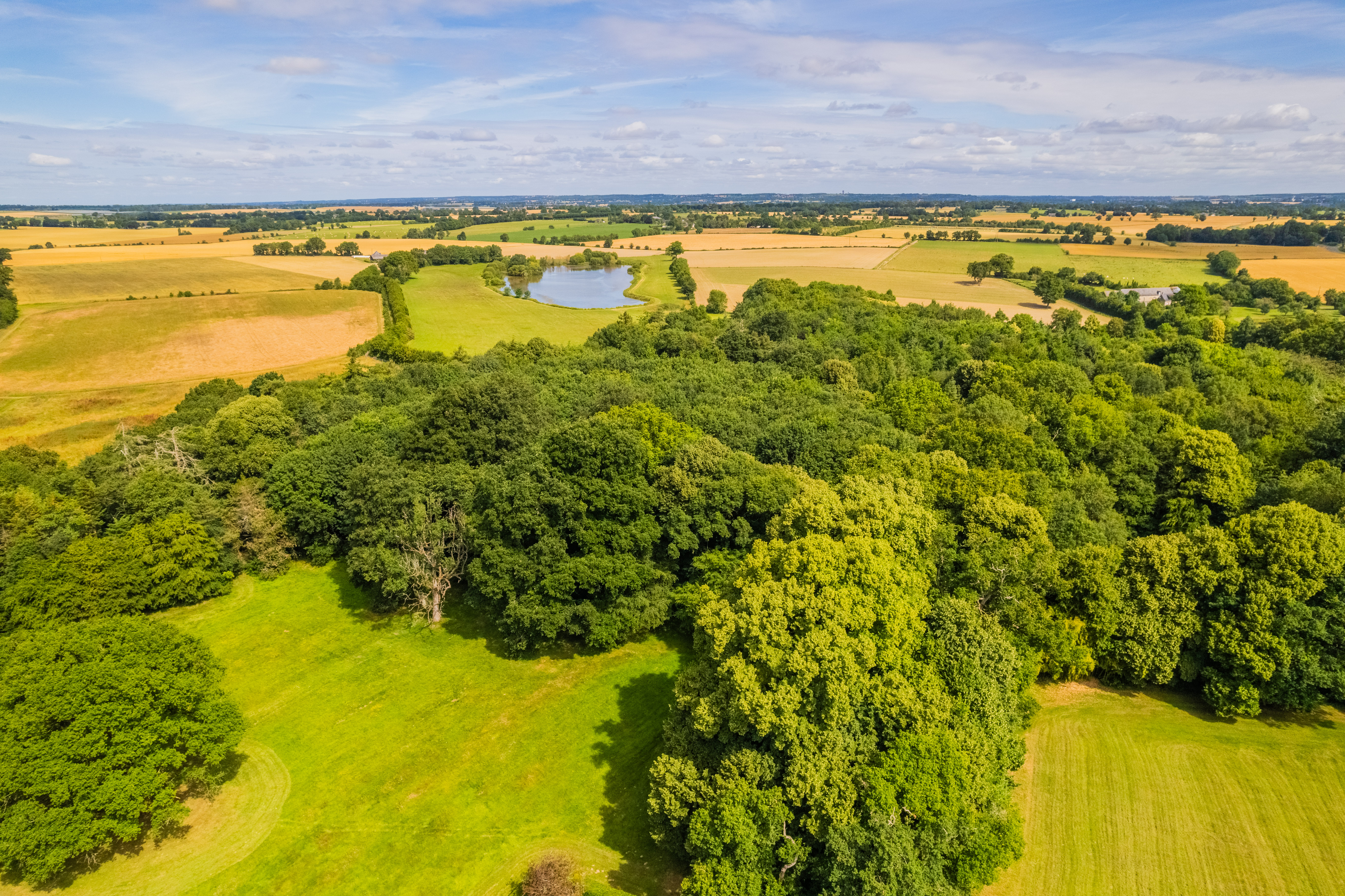Propriété en France à vendre à Chazé-sur-Argos, Maine-et-Loire - €2 880 000 - photo 