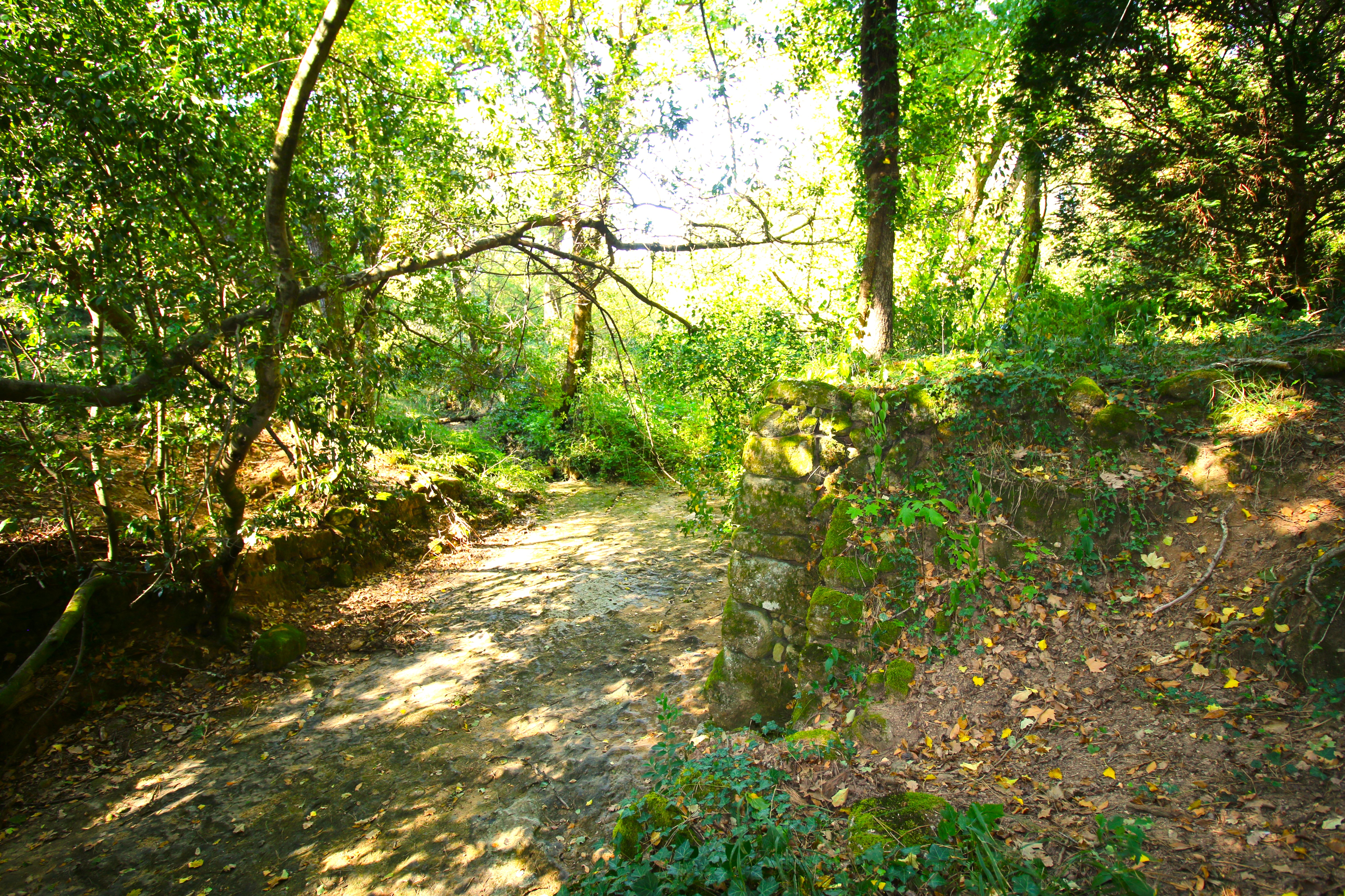 French property for sale in Ruoms, Ardèche - €990,000 - photo 