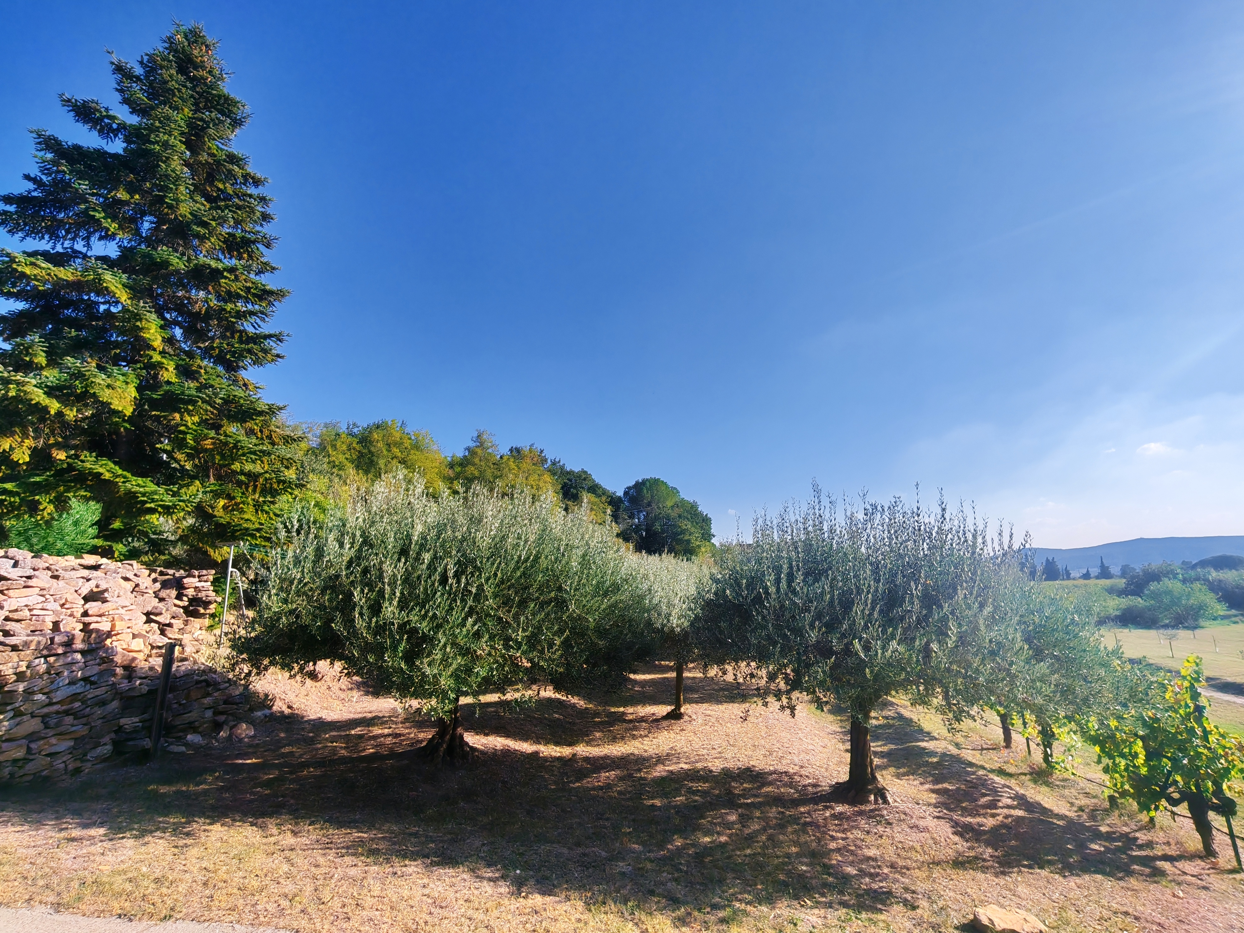 French property for sale in Uzès, Gard - €1,350,000 - photo 