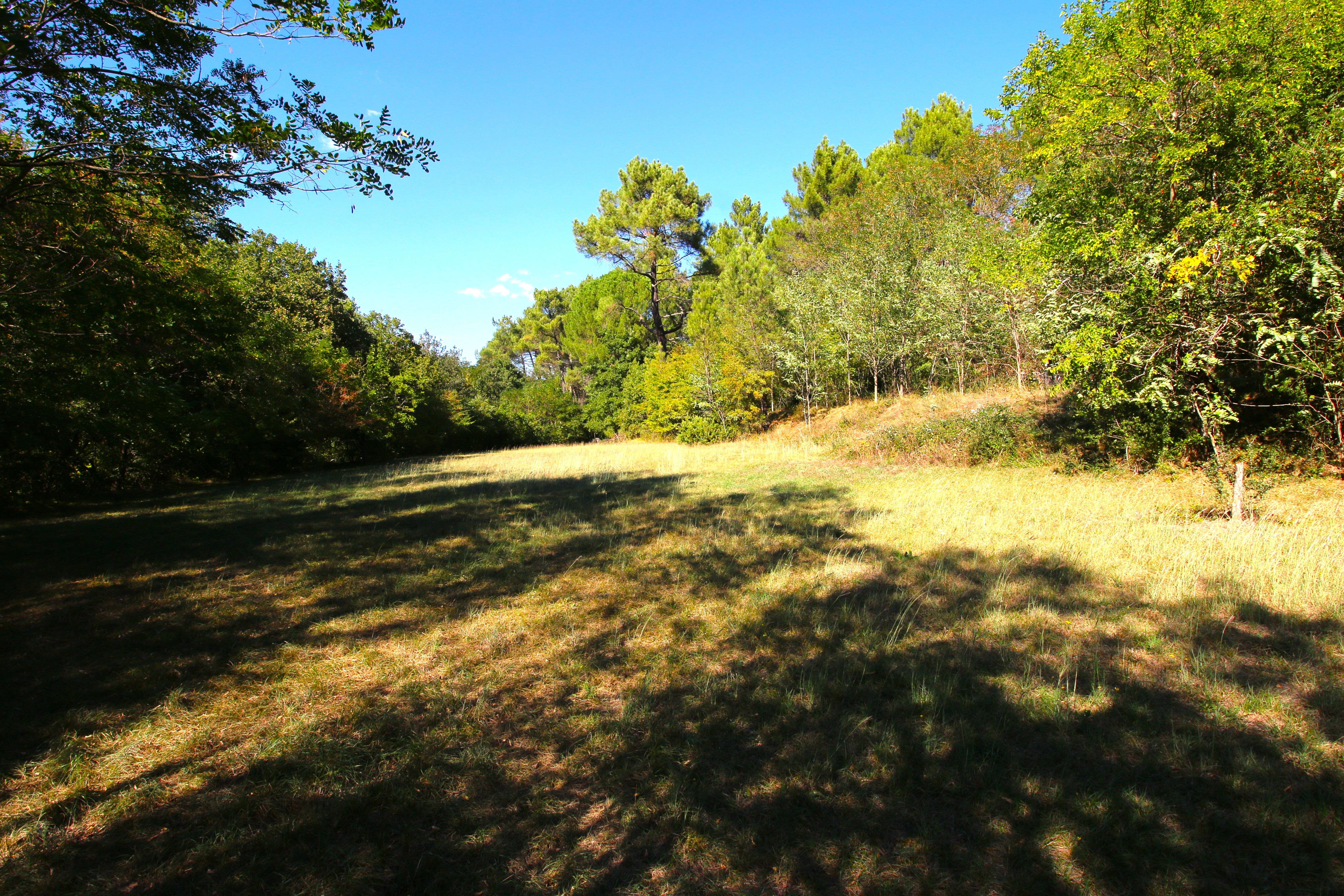 French property for sale in Ruoms, Ardèche - €990,000 - photo 