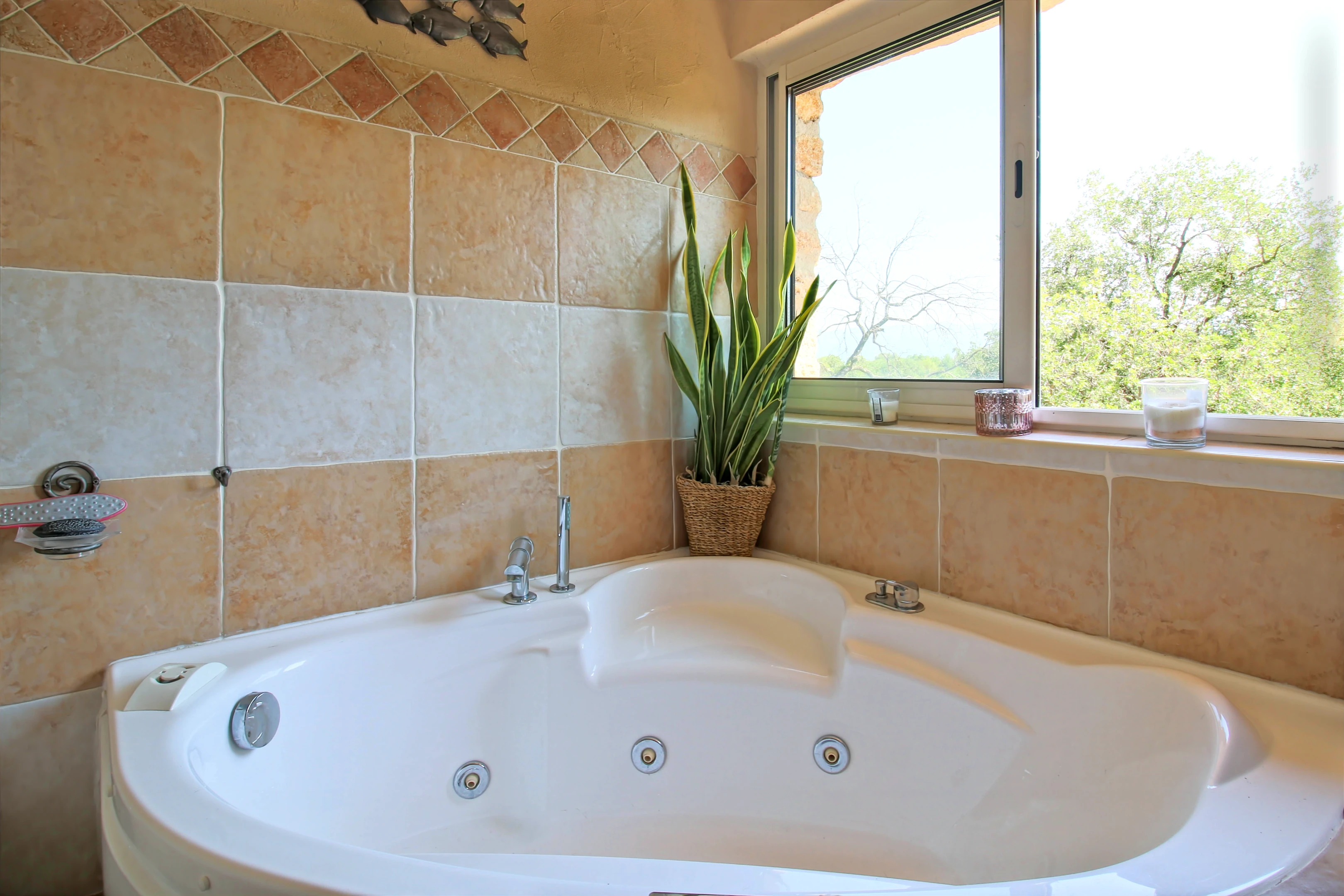Propriété en France à vendre à Apt, Vaucluse - €767 000 - photo 