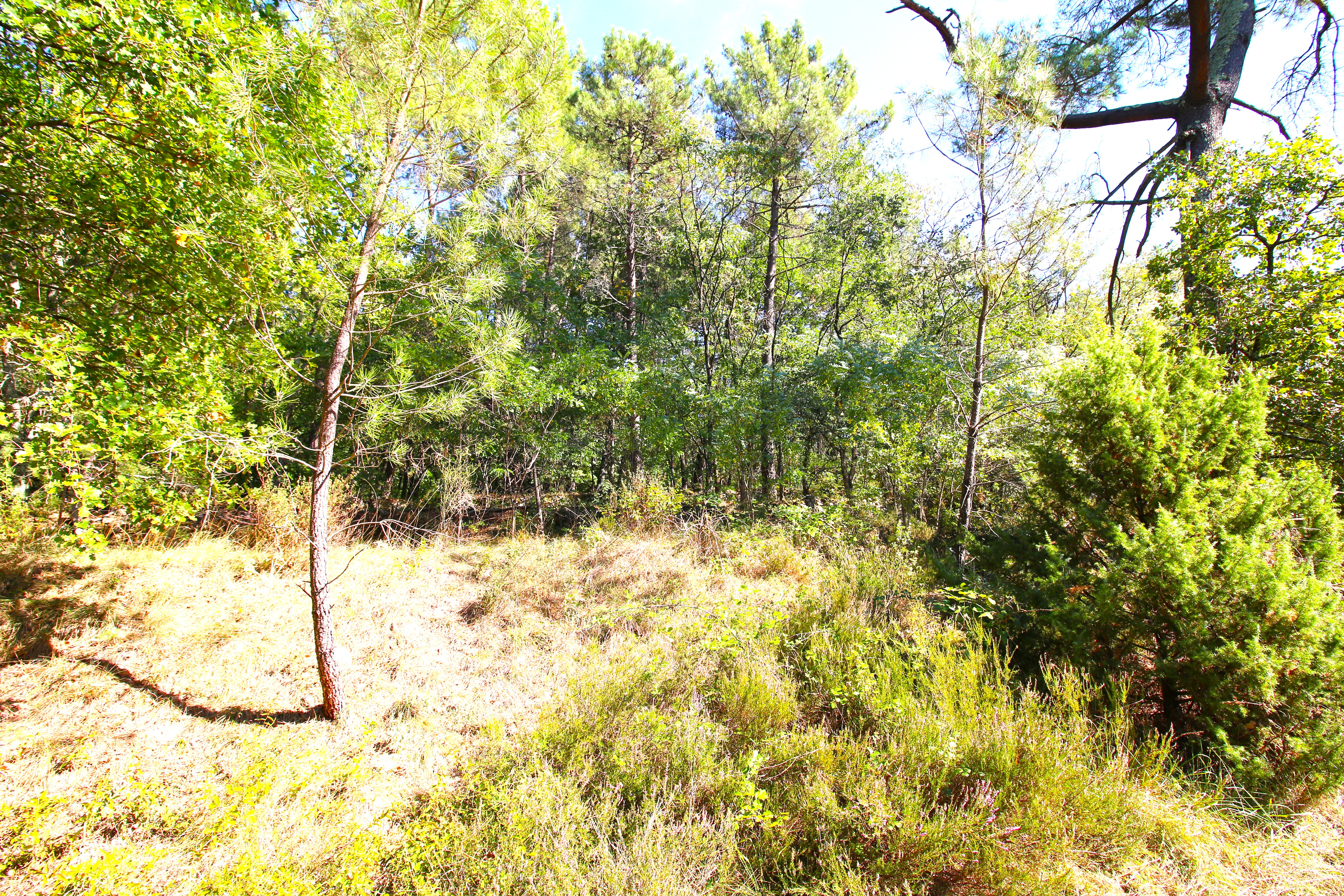 French property for sale in Ruoms, Ardèche - €990,000 - photo 