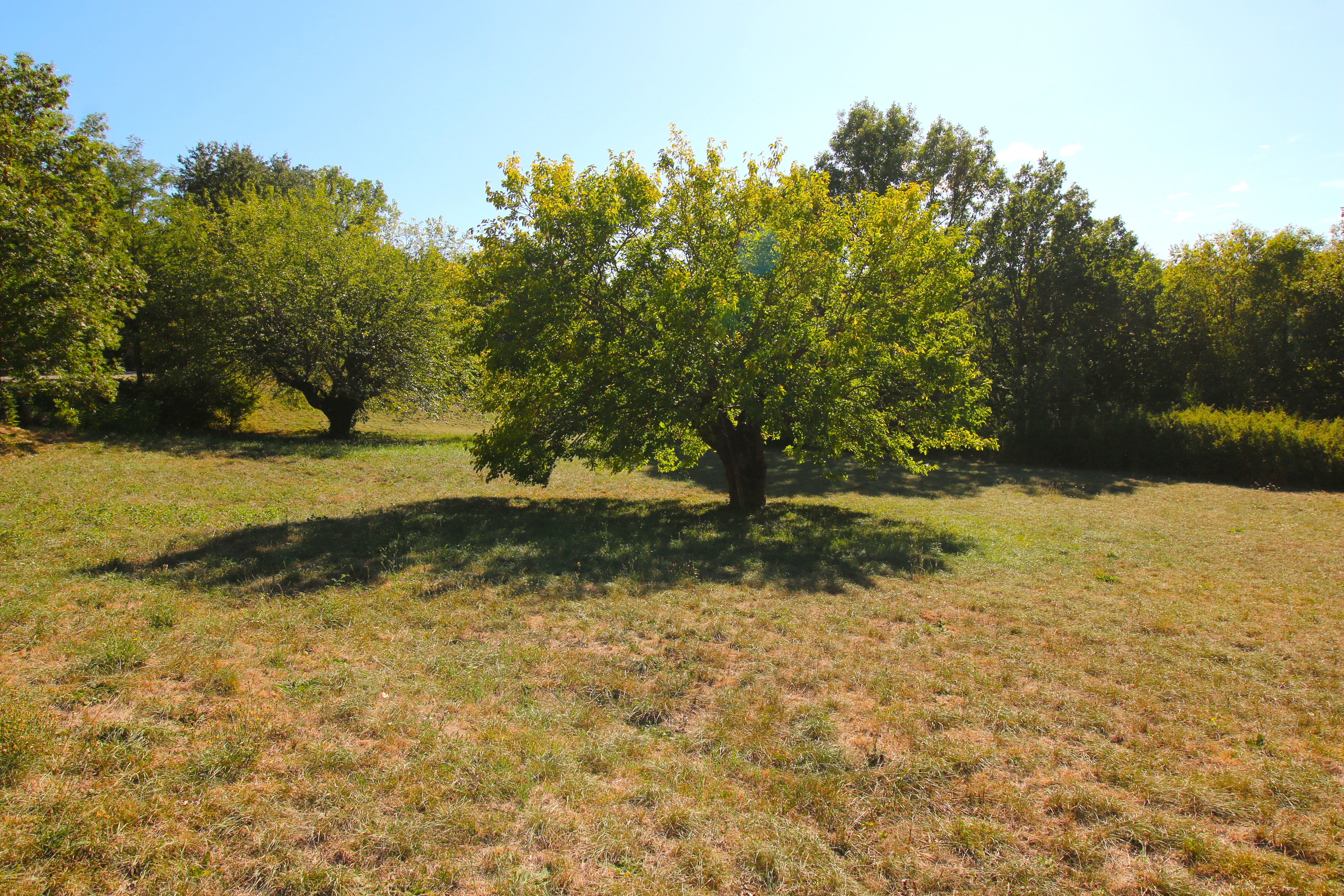 French property for sale in Ruoms, Ardèche - €990,000 - photo 
