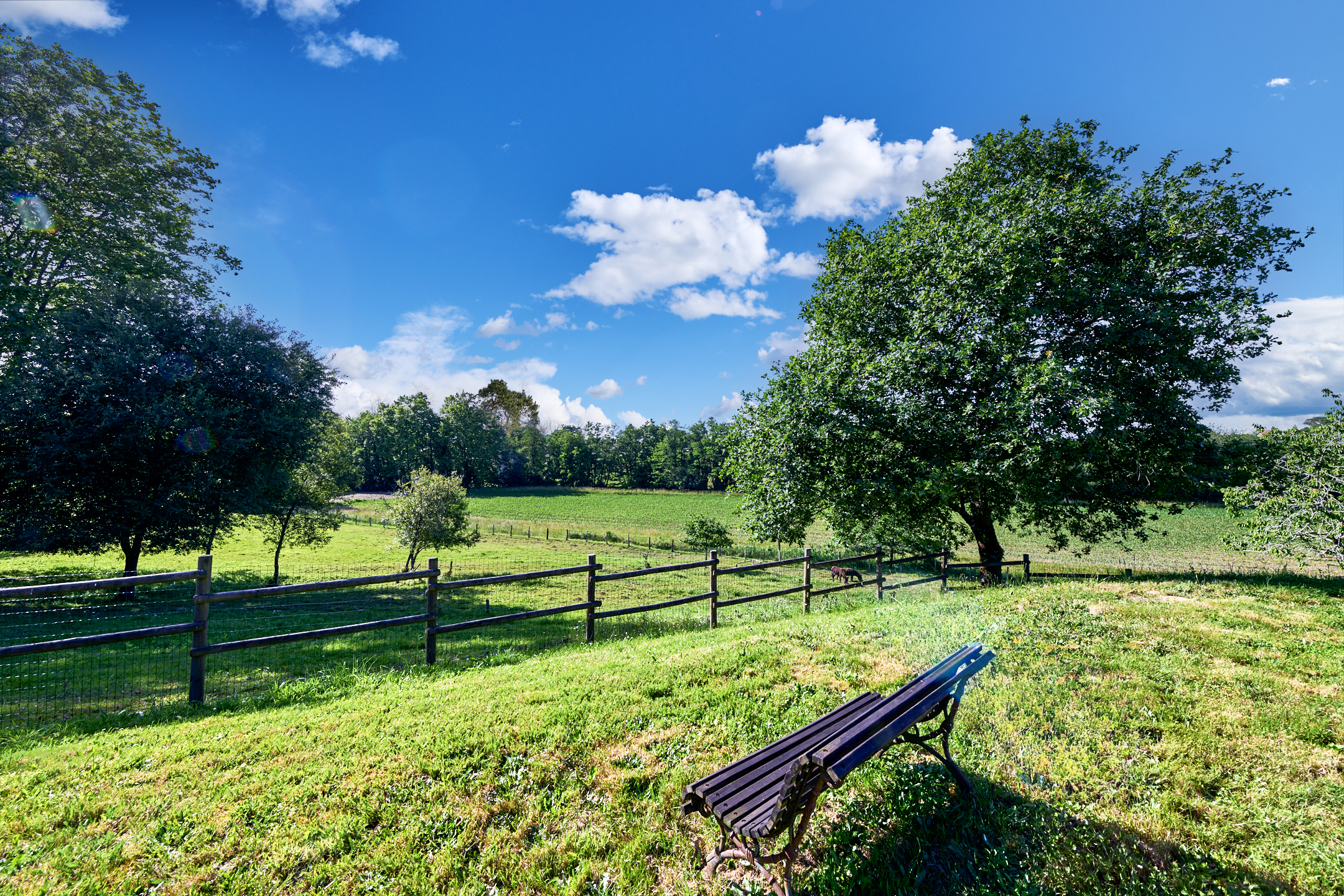French property for sale in Peyrehorade, Landes - €872,000 - photo 