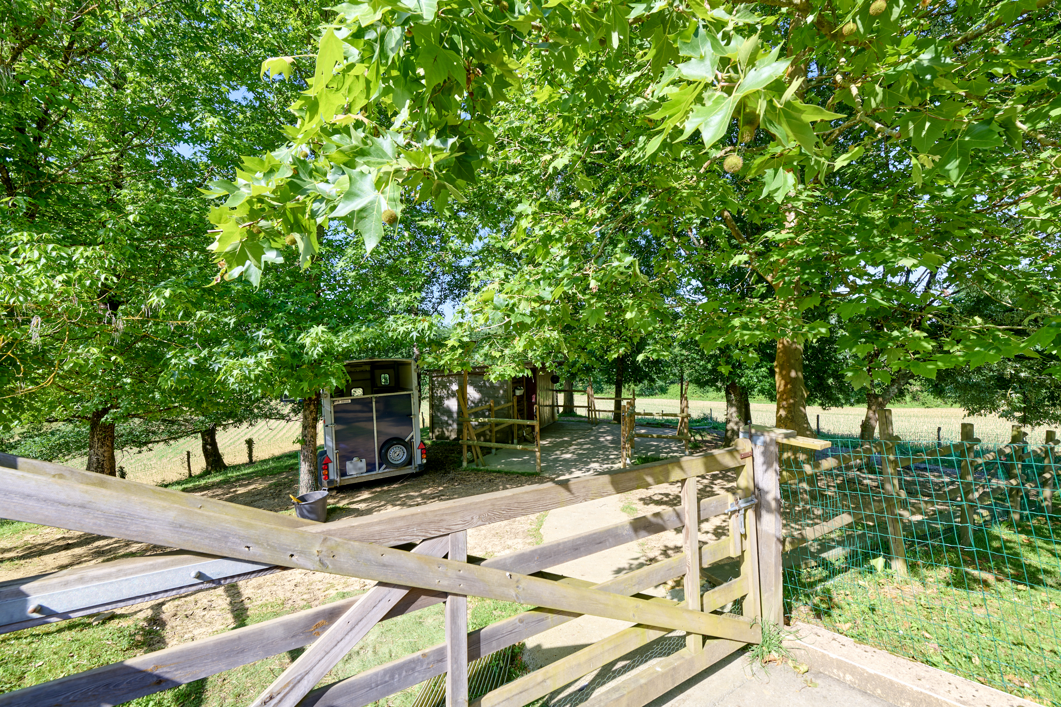 French property for sale in Peyrehorade, Landes - €872,000 - photo 