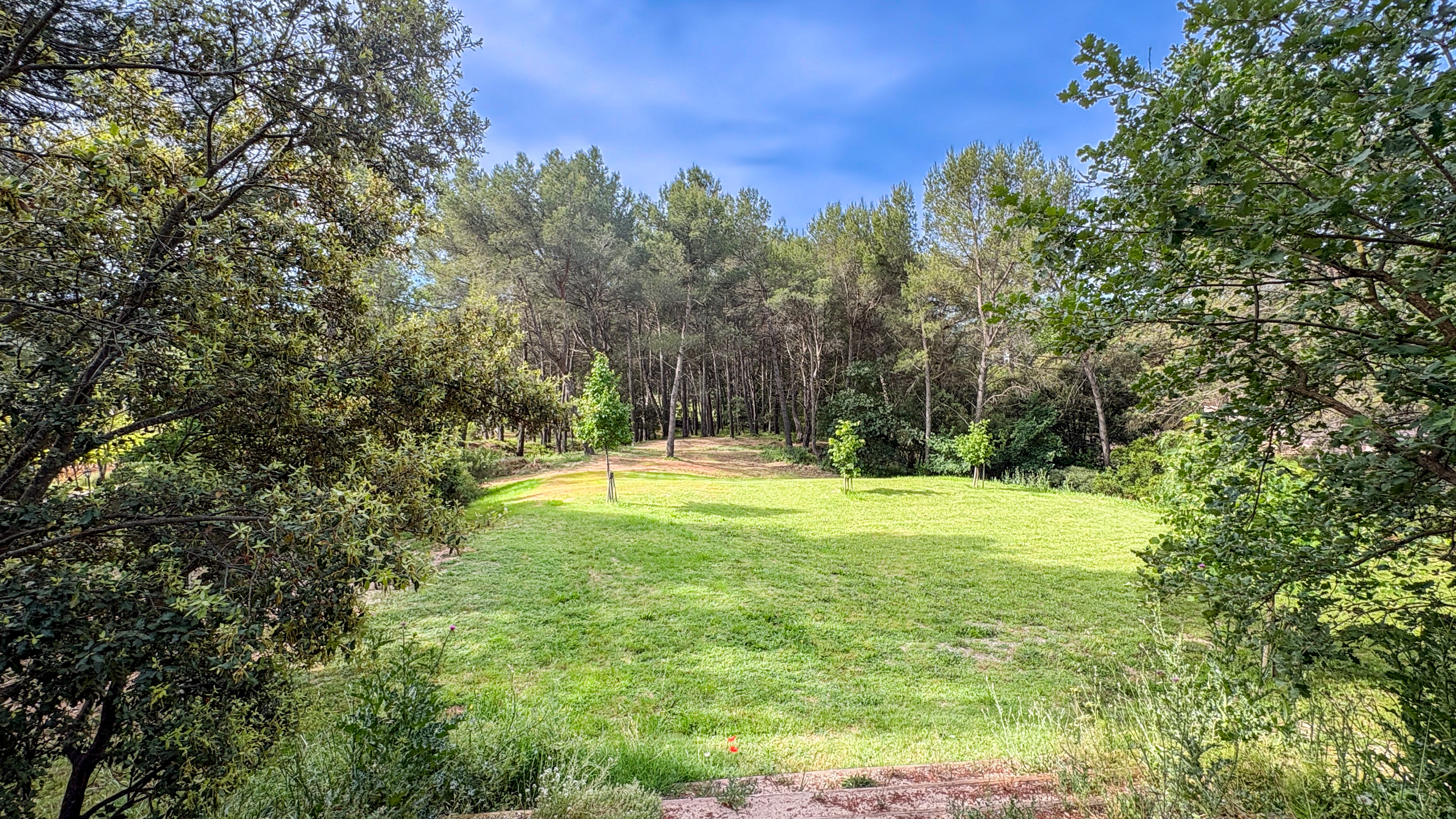 French property for sale in Châteauneuf-le-Rouge, Bouches-du-Rhône - €1,290,000 - photo 